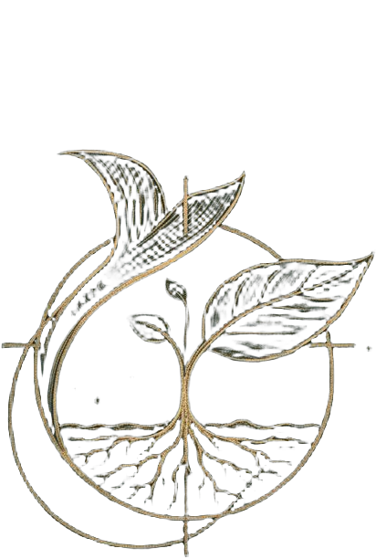 Project Brackish